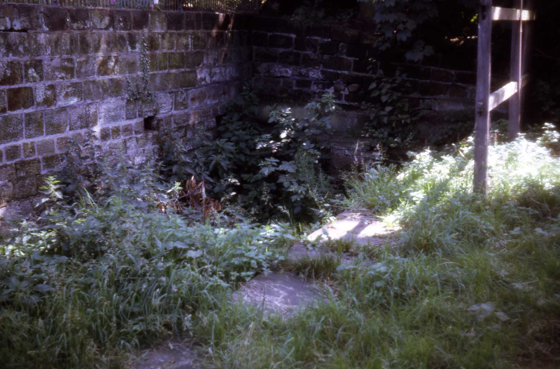 D10 011 Synagogue Well, Castle Park Jul 1968.jpg